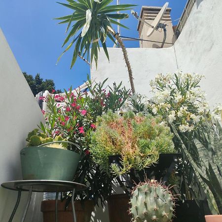 Historic Center Private Terrace Apartamento Málaga Exterior foto